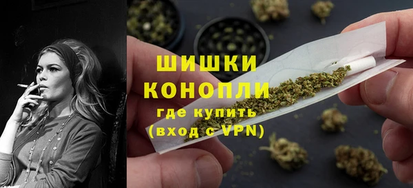 шишки Богородск