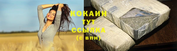 шишки Богородск