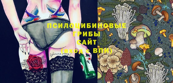 2c-b Верхний Тагил