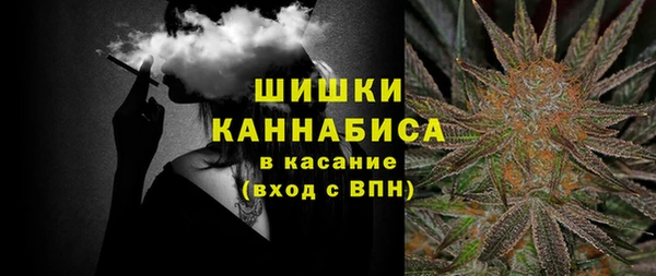первитин Богданович