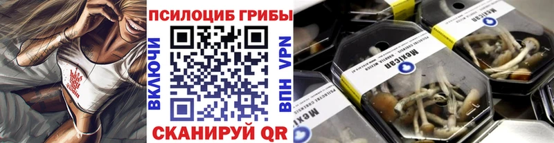 купить наркотик  Высоцк  blacksprut маркетплейс  Галлюциногенные грибы Cubensis 